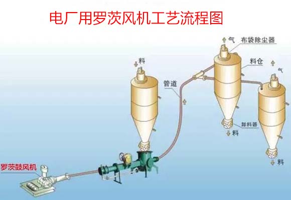 電廠用羅茨鼓91麻豆国产精品案例