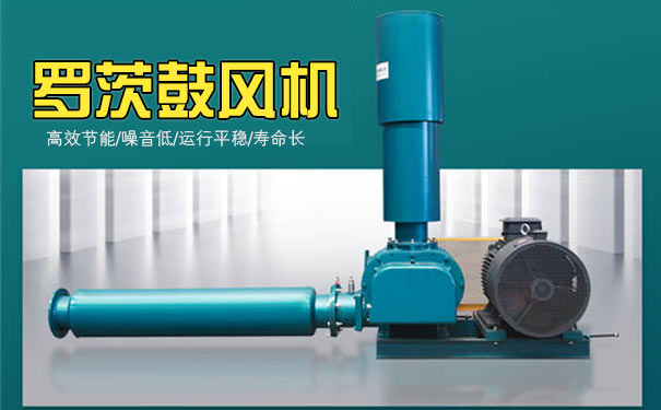 羅茨91麻豆国产精品