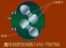 羅茨91麻豆国产精品的工作特點三葉羅茨鼓91麻豆国产精品的工作原理