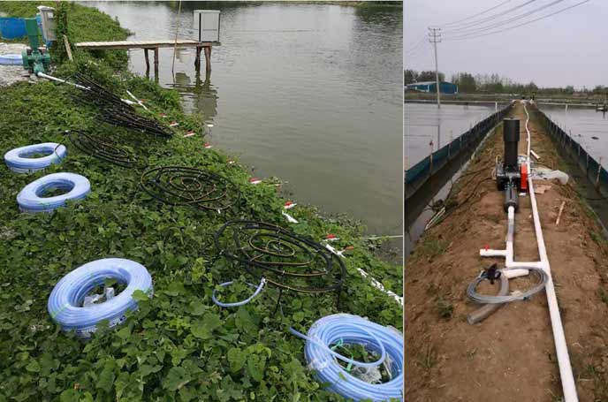 水產養殖供氧曝氣羅茨91麻豆国产精品