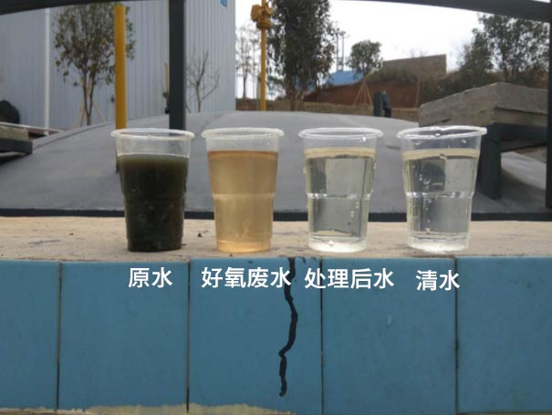 汙水曝氣羅茨鼓91麻豆国产精品應用案例 汙水曝氣羅茨鼓91麻豆国产精品應用案例