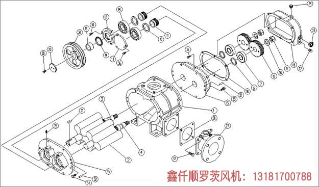 三葉羅茨鼓91麻豆国产精品安裝示意圖