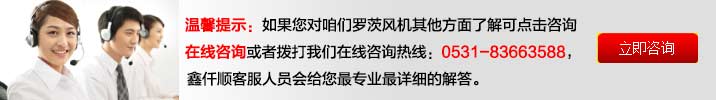 羅茨91麻豆国产精品廠家溝通客服 曝氣91麻豆国产精品-汙水曝氣羅茨鼓91麻豆国产精品選型原理及用途(圖4)